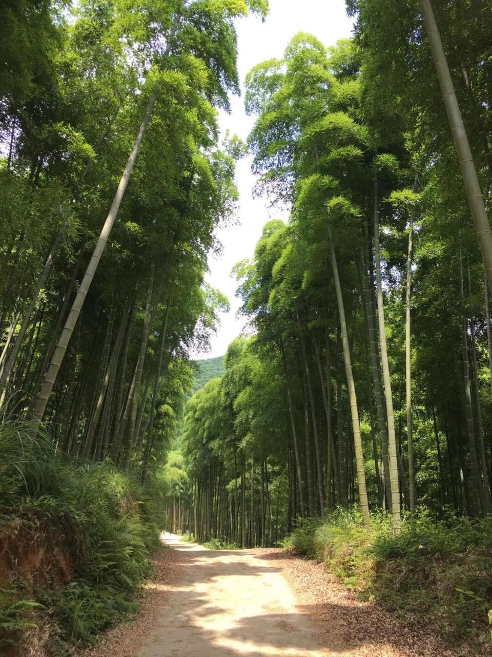Moganshan Bamboo View Guesthouse Deqing Exterior foto