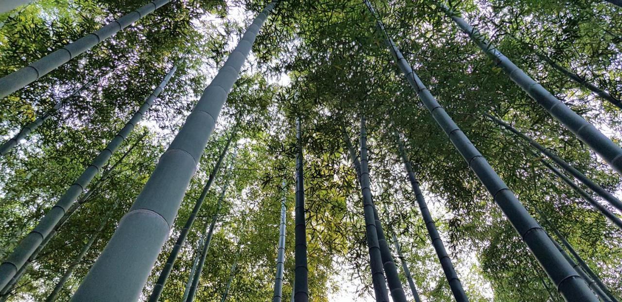 Moganshan Bamboo View Guesthouse Deqing Exterior foto
